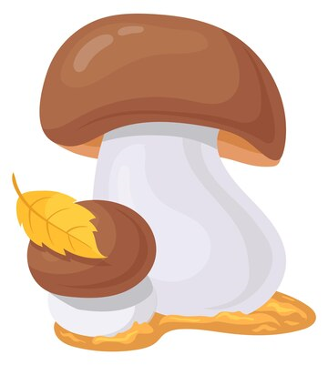 Corso formativo di preparazione con esame finale per il rilascio dell’idoneità alla vendita per gli esercenti il commercio di funghi epigei freschi spontanei